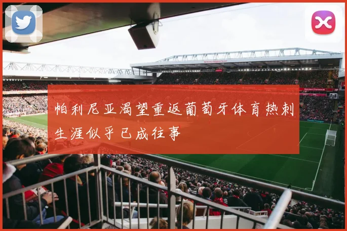 帕利尼亚渴望重返葡萄牙体育热刺生涯似乎已成往事