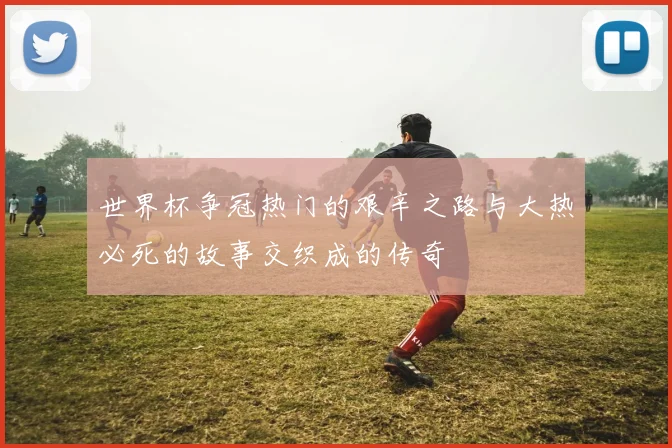 世界杯争冠热门的艰辛之路与大热必死的故事交织成的传奇